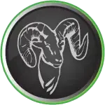 RAM Pest Management