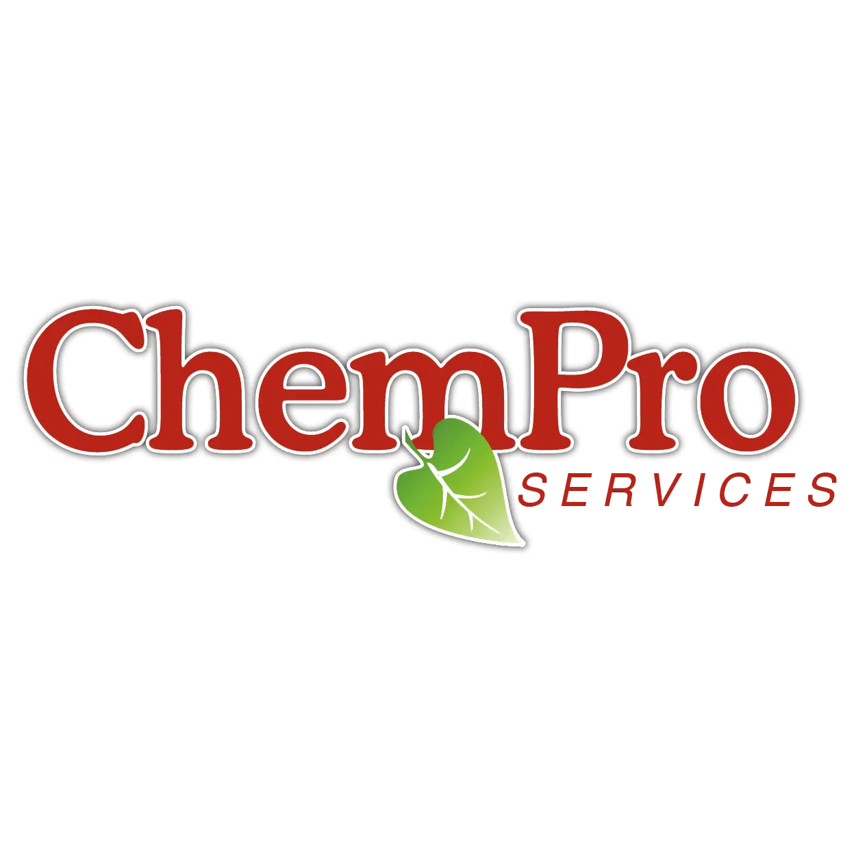 CHEMPRO SERVICES INC