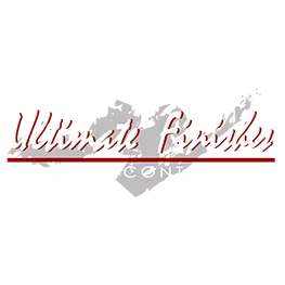 Ultimate Finishes Painting