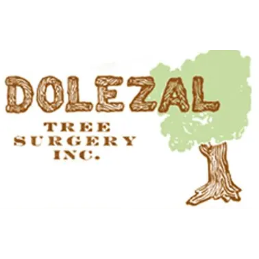 DOLEZAL TREE SURGERY INC