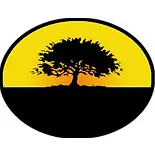 GREEN HORIZON INC