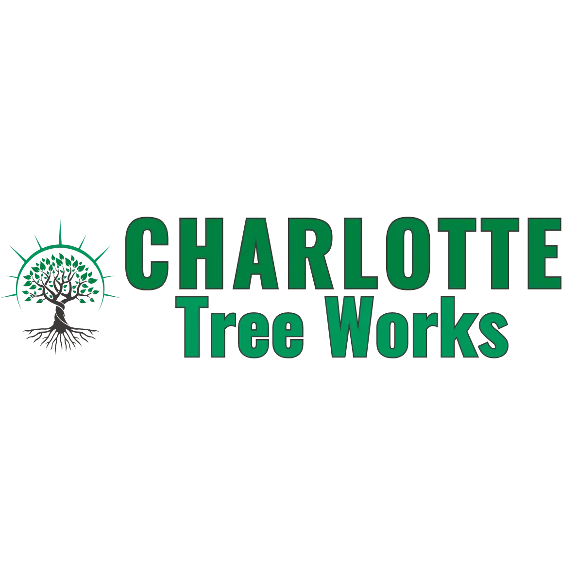 Charlotte Tree Removals