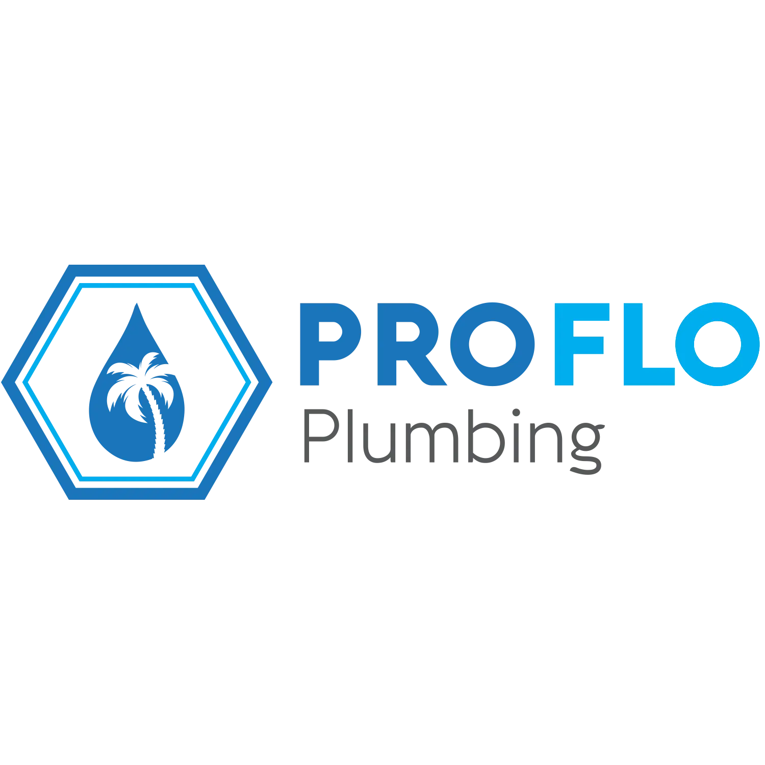 PRO FLO PLUMBING LLC
