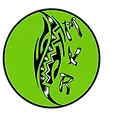 M V R LANDSCAPING
