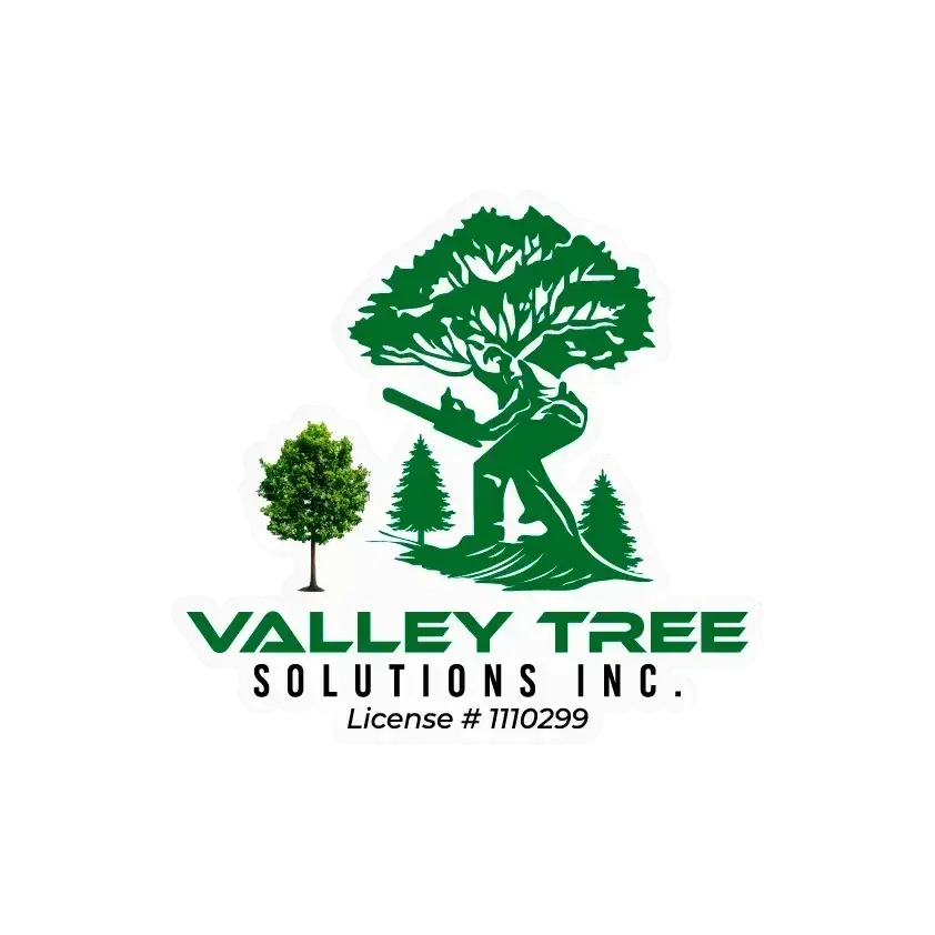 VALLEY TREE SOLUTIONS INC