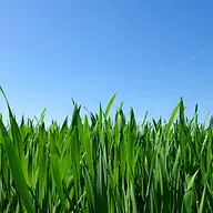 Extreme Outdoor Solutions, LLC