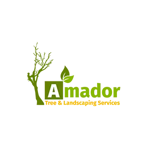 Amador Tree & Landscaping Services