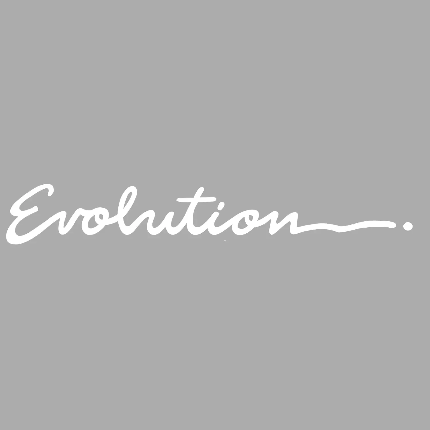 EVOLUTION CONSTRUCTION AND DEVELOPMENT LLC