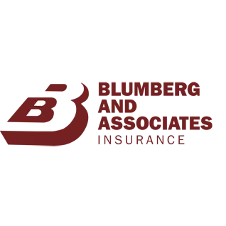 BLUMBERG AND ASSOCIATES, INC.