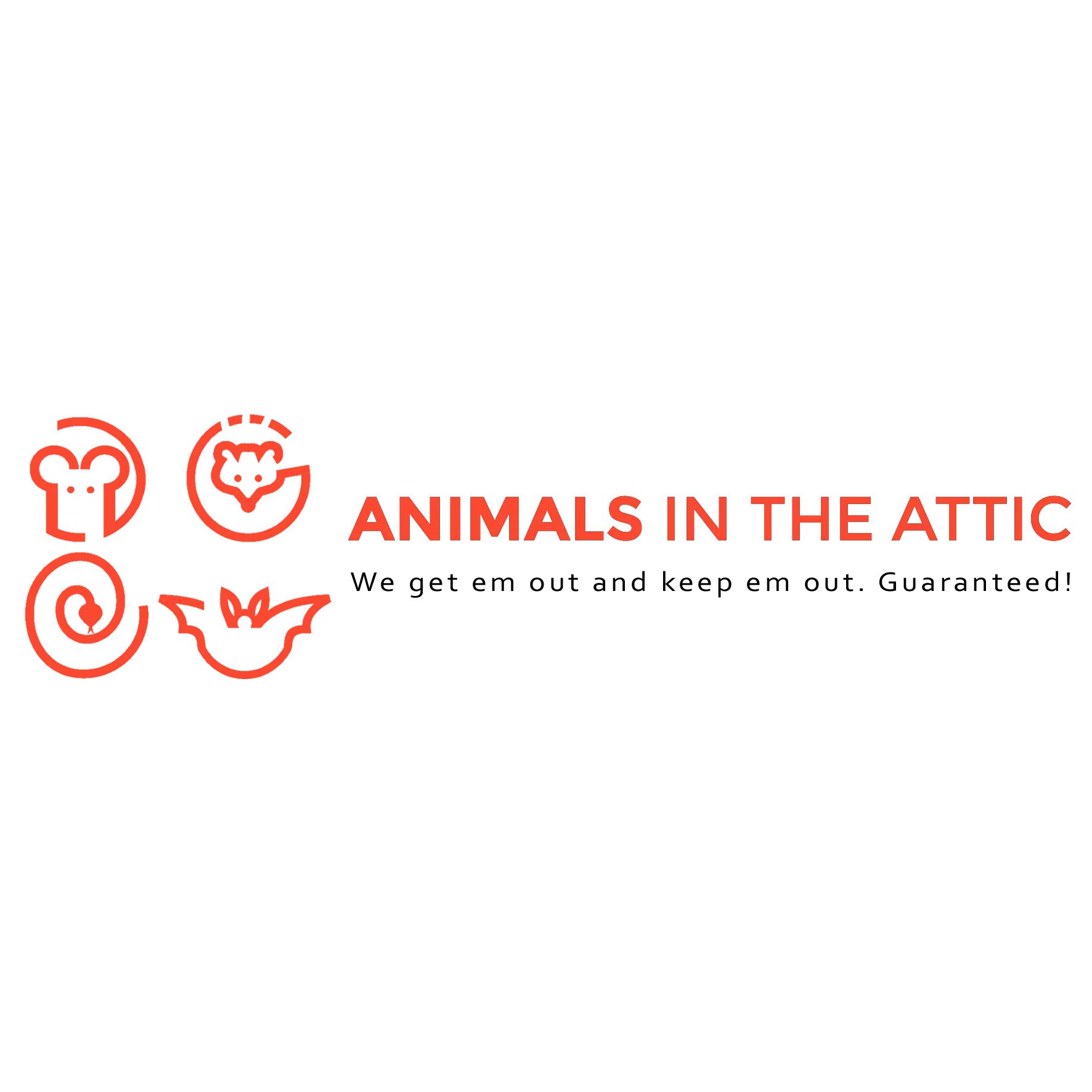 Animals in the Attic
