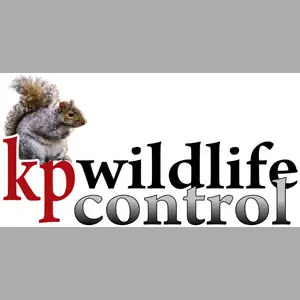 KP Wildlife Control LLC