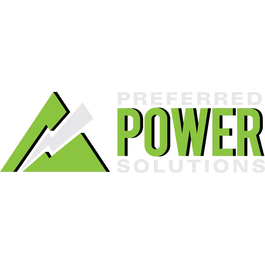 PREFERRED POWER SOLUTIONS INC