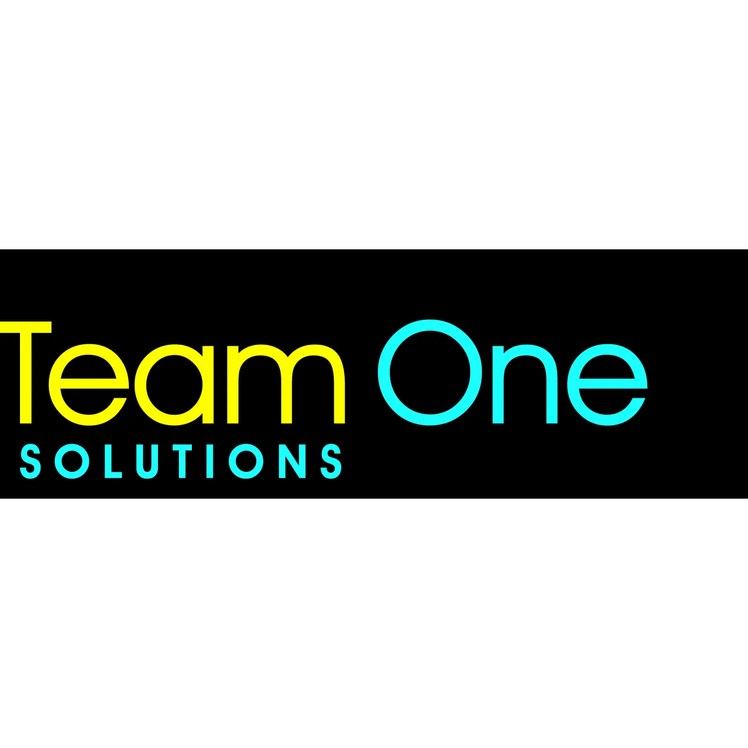 TEAM ONE SOLUTIONS INC