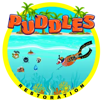 PUDDLES Restoration