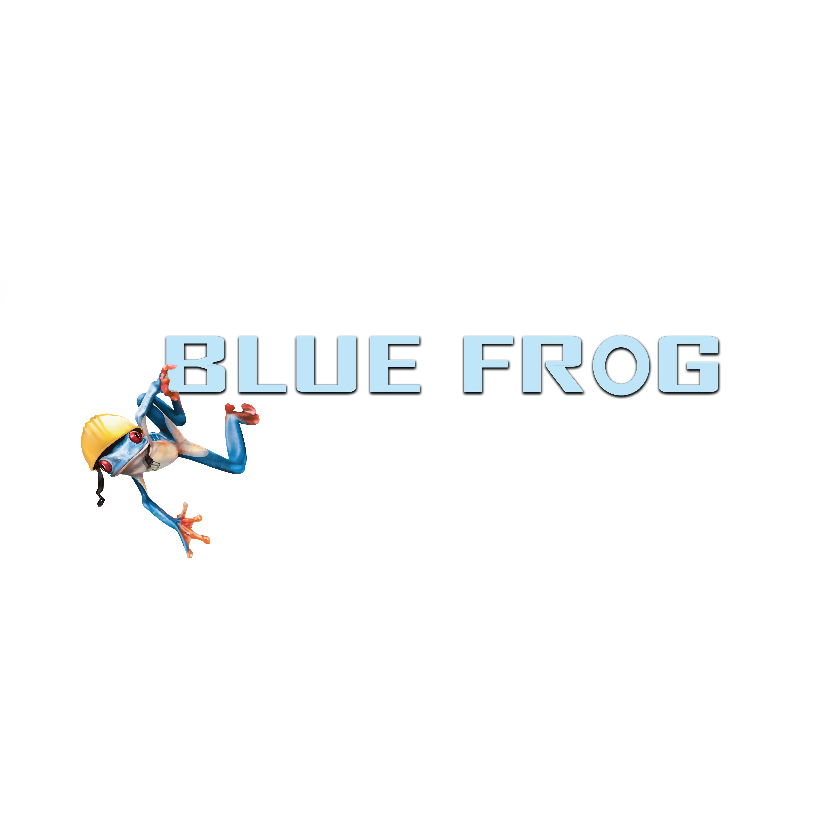 BLUE FROG LLC