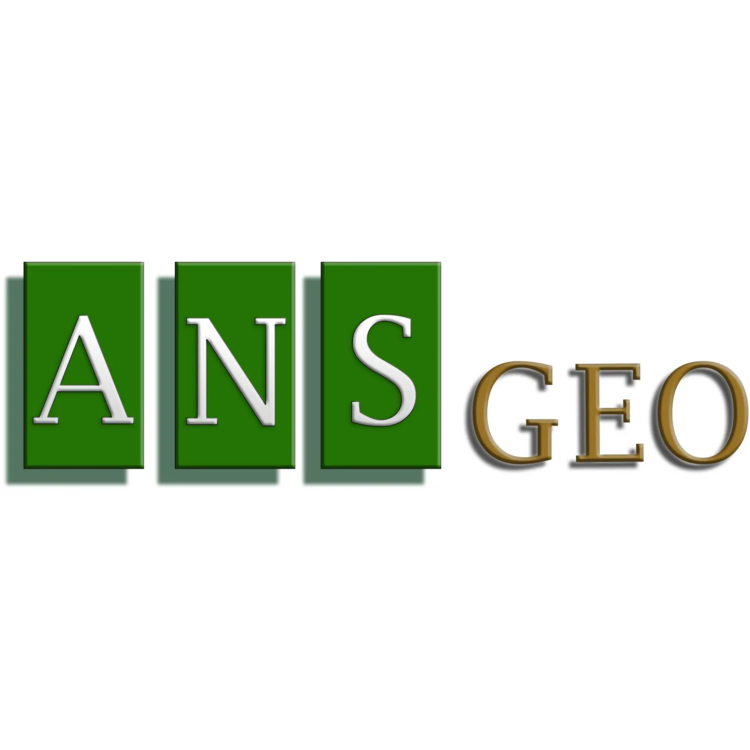 ANS GEO, INC.
