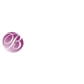 Berkley Security Inc.