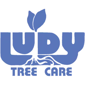 Ludy Tree Care