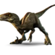 RAPTOR PLUMBING LLC