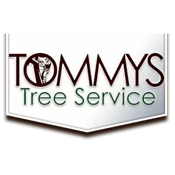 Tommy's Tree Service