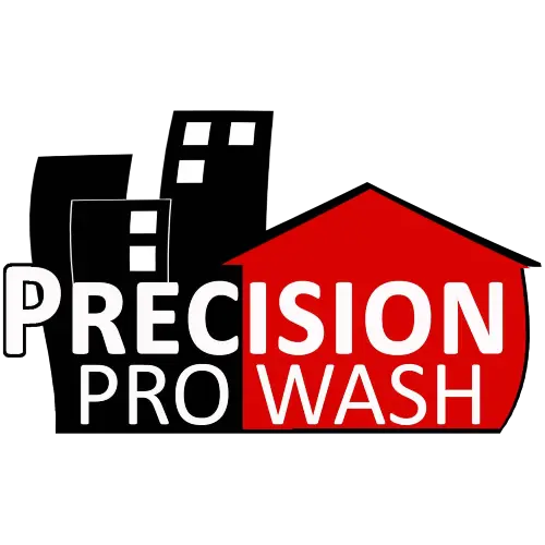 Precision Pro Wash