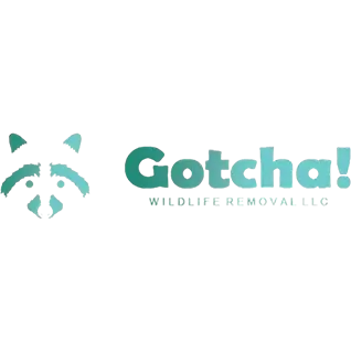 Gotcha Wildlife Removal LLC