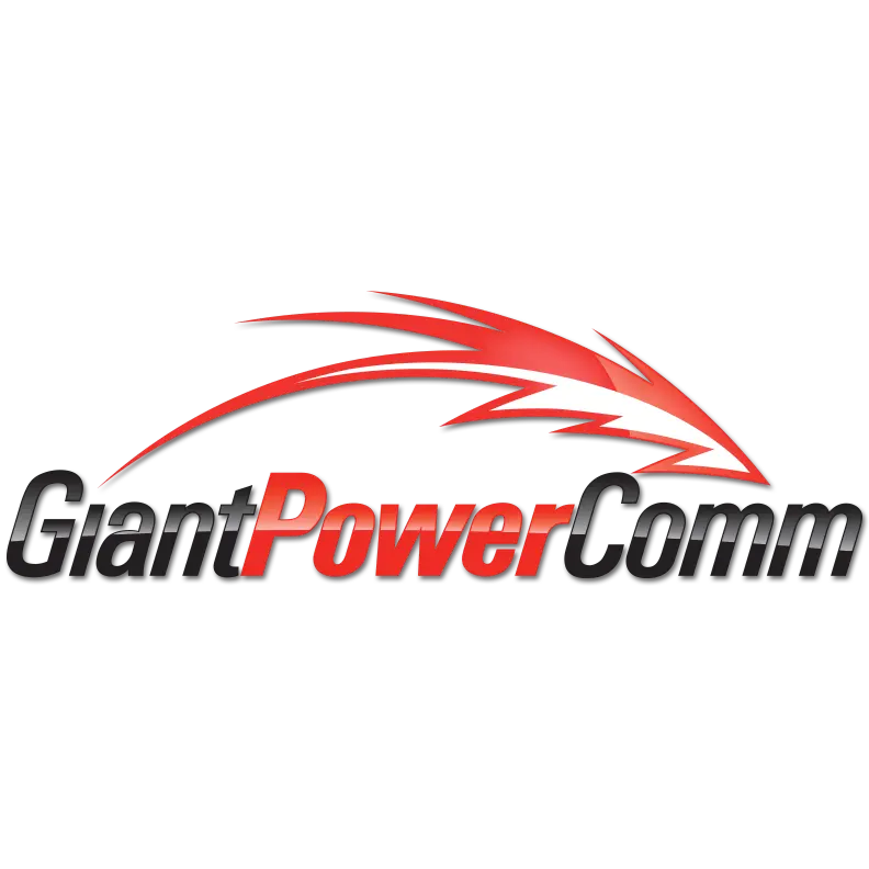 GIANT SERVICES INC