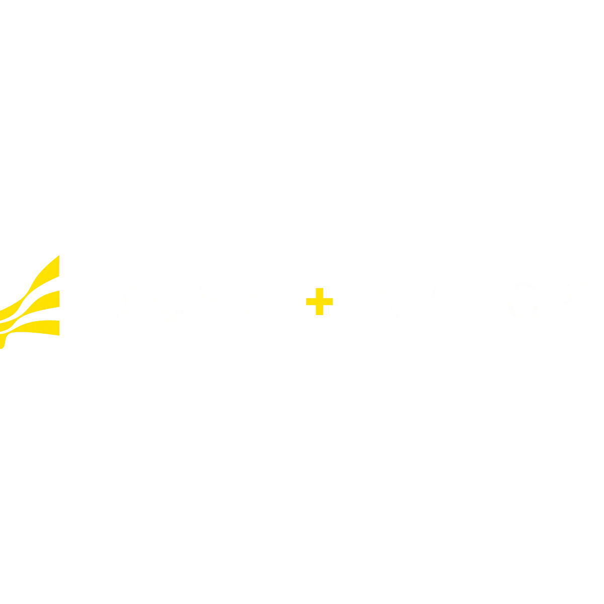 FACADE FLORIDA PLUS LLC
