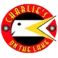 PRESTIGE CONSTRUCTION INC