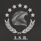 American Standard Roofing LLC