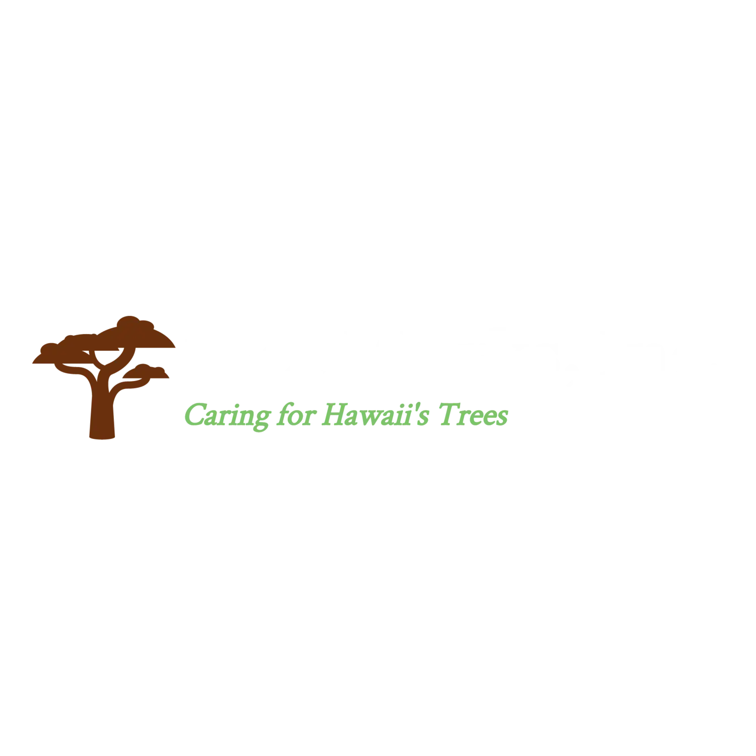 TREE WORKS INC