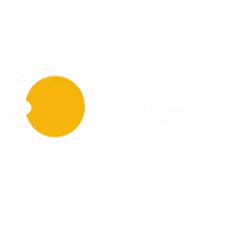 DSI Digital Systems Installation LLC