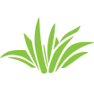 Peachtree Plants