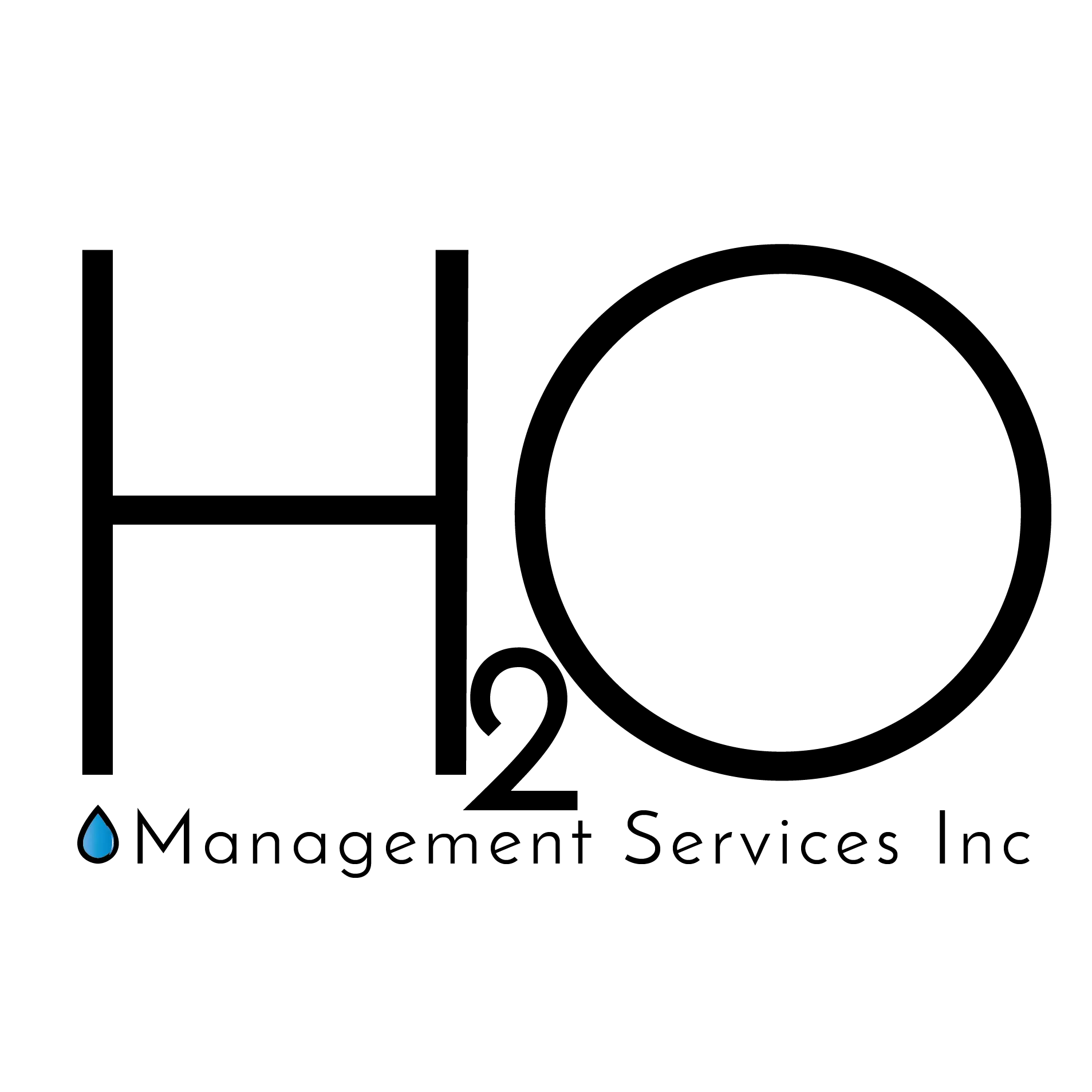 H2O MANAGEMENT SERVICES INC