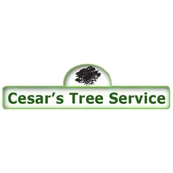 Cesar's Tree Service Inc