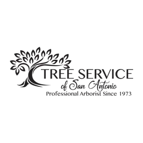 Tree Service of San Antonio