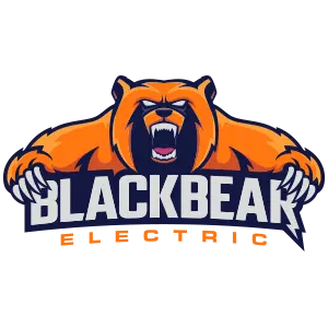 BLACK BEAR ELECTRIC INC