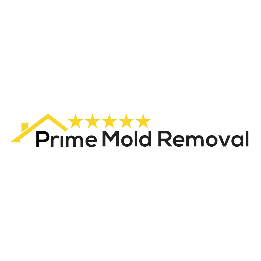 Prime Mold Removal Brooklyn