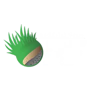 P&F Artificial Grass