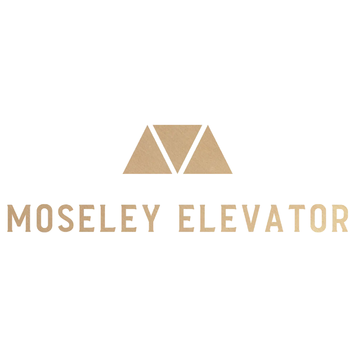 Moseley Elevator