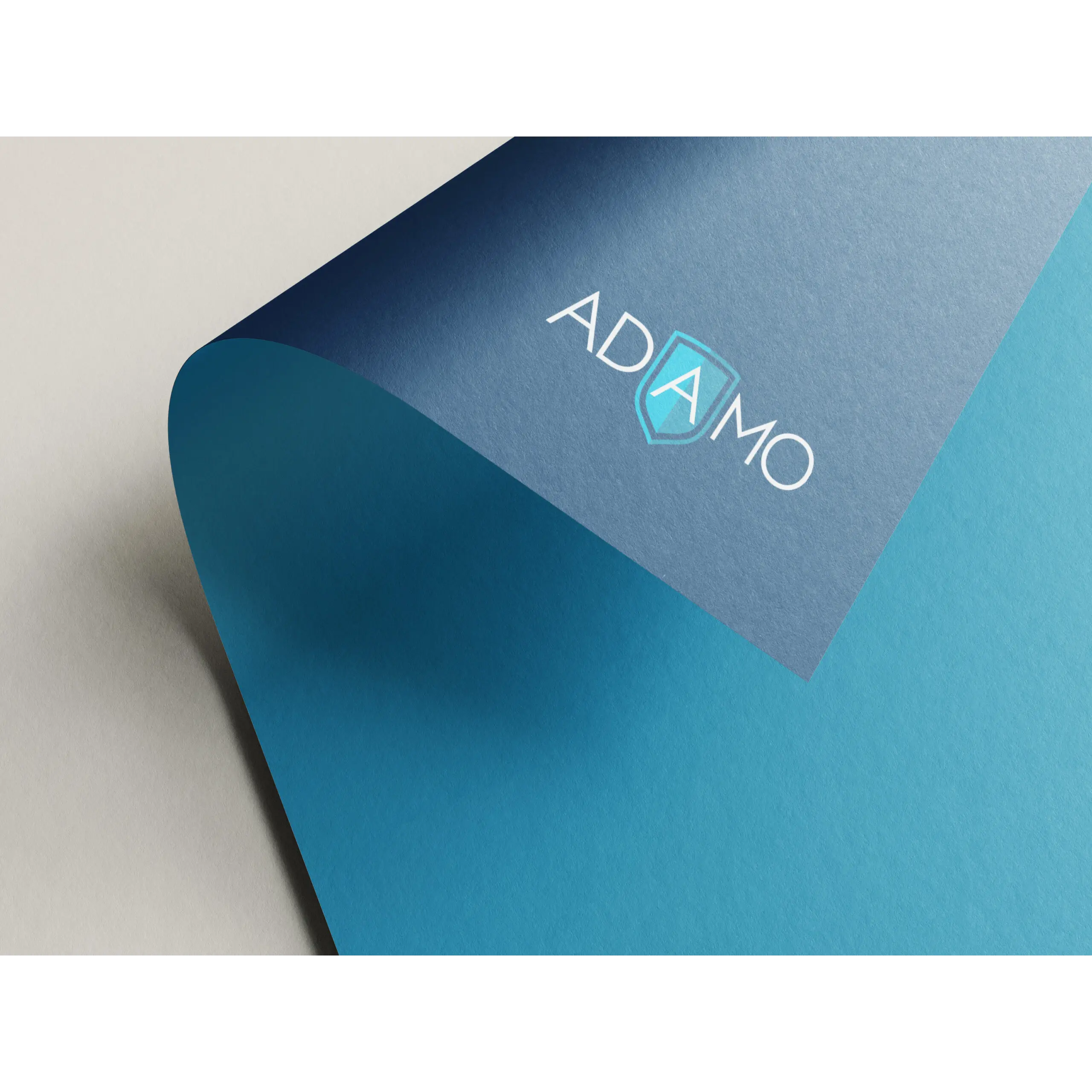 ADAMO SECURITY GROUP