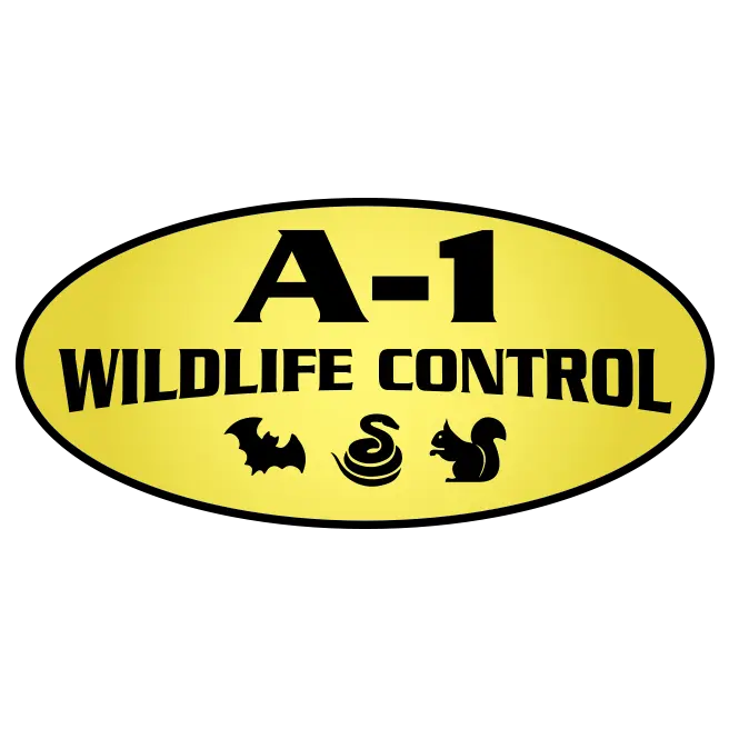 A-1 Wildlife Control