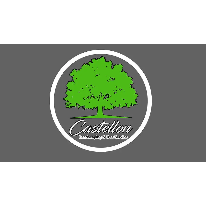 CASTELLON LANDSCAPING INC