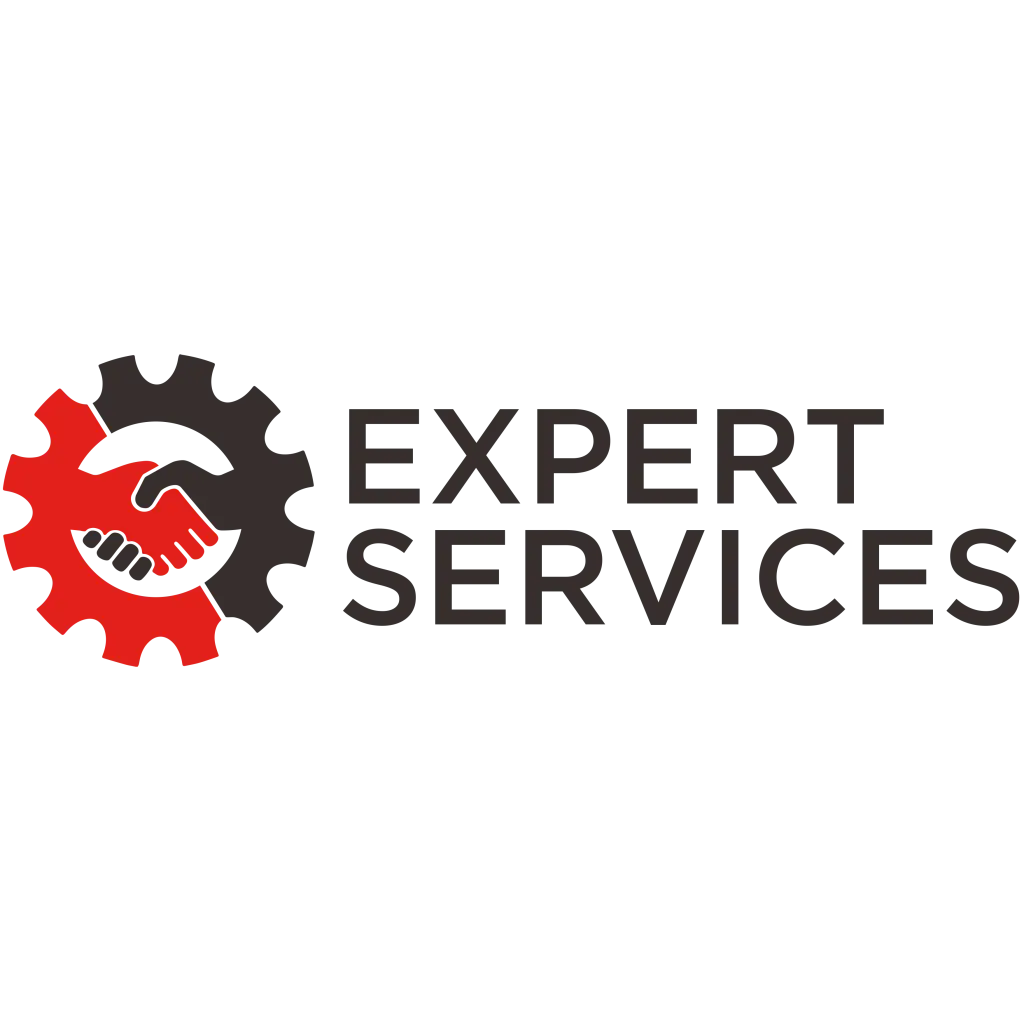 EXPERT SERVICES LLC