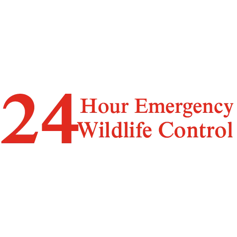 Pinnacle Wildlife Control Corp.
