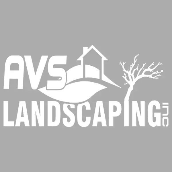 A V S LANDSCAPING INC