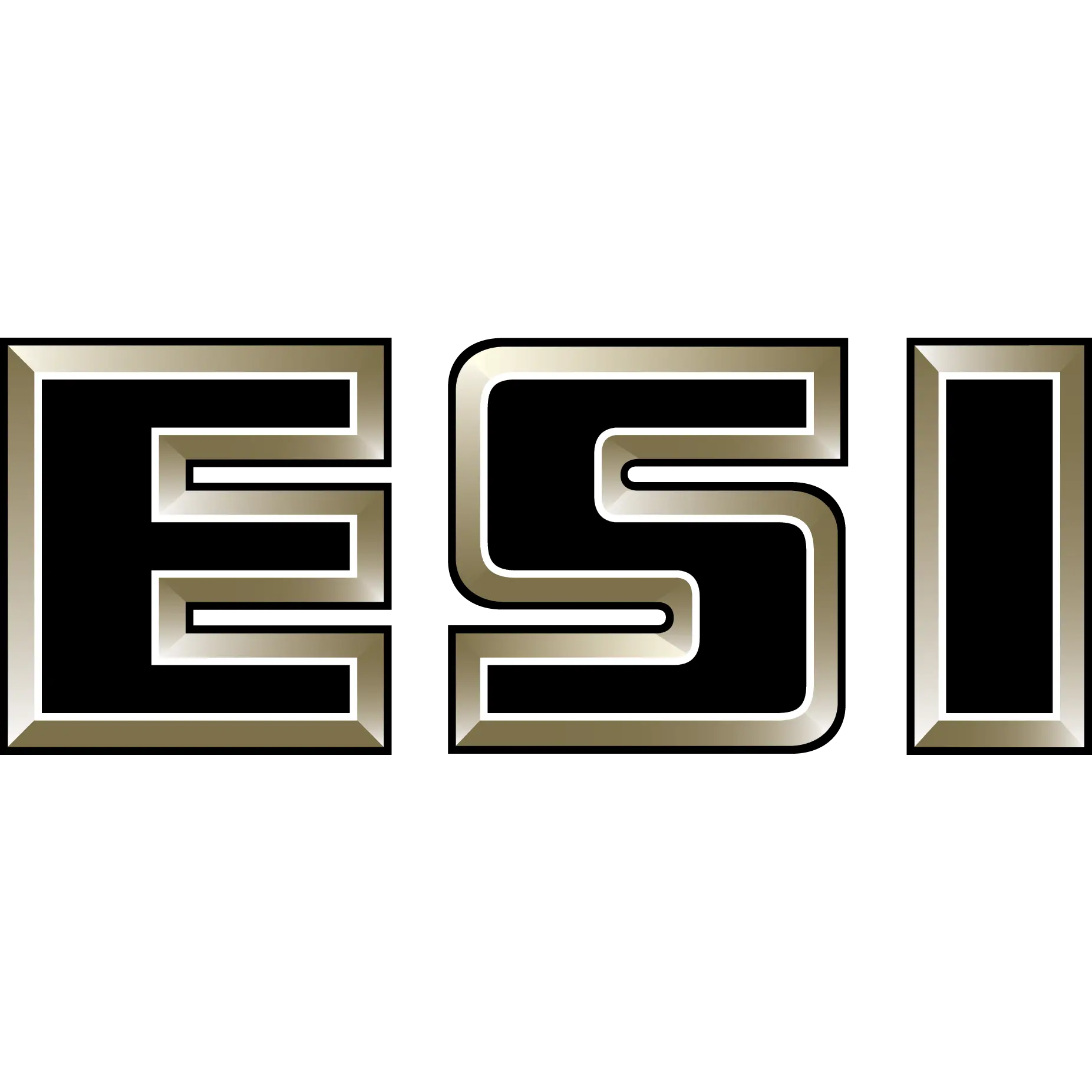 ESI CONSTRUCTORS INC