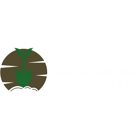 Exquisite Lawn Care
