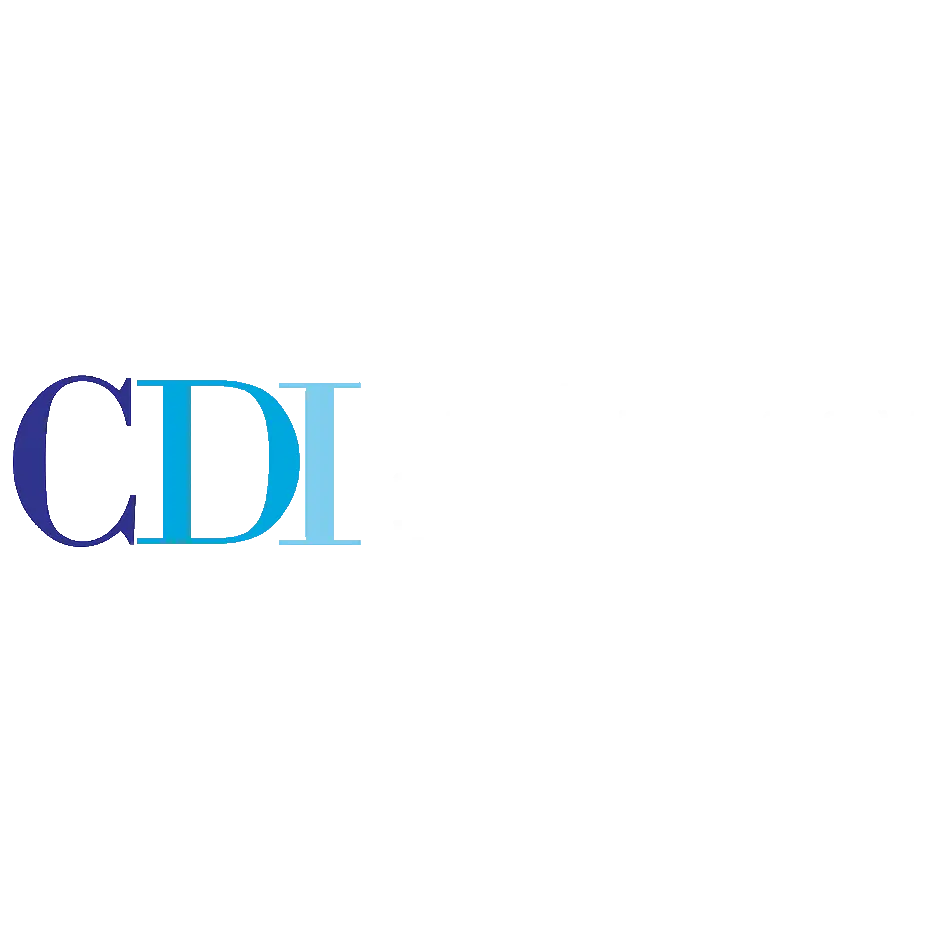 CDI Technology Services