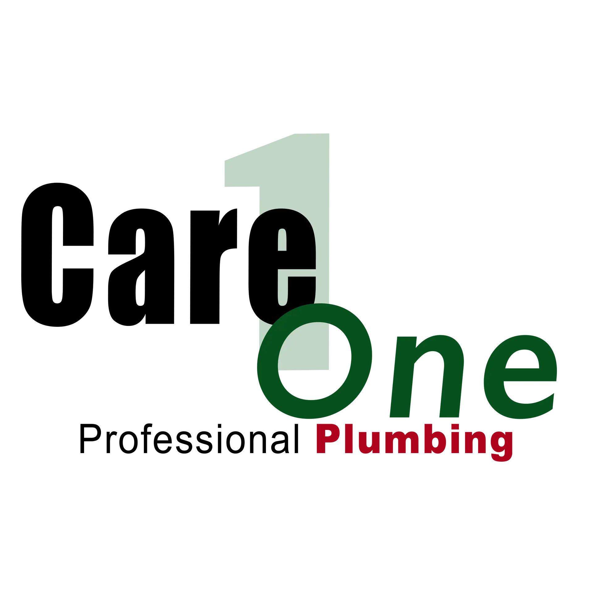 CARE ONE PLUMBING INC